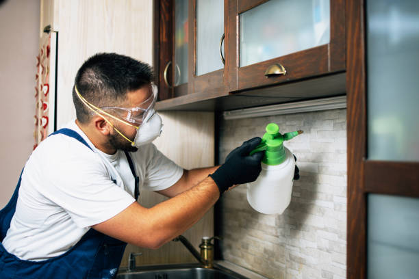 Best Pest Control for Homes  in Erma, NJ