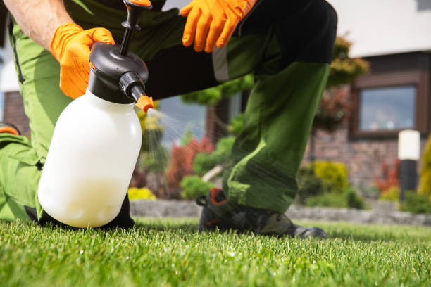 Best Wasp Removal Services  in Erma, NJ
