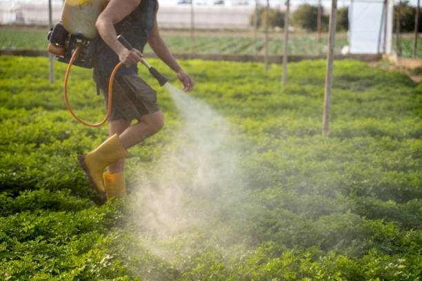 Pest Control Cost in Erma, NJ