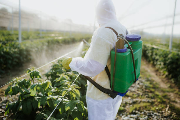 Best Best Pest Control Companies  in Erma, NJ